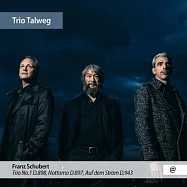 舒伯特: 第一號鋼琴三重奏, 夜曲, 在暴風雨中 陶維格三重奏(Schubert: Trio No.1 / Trio Talweg)