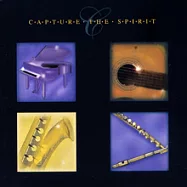 心靈補給站(4CD)(Capture the Spirit (4CD))