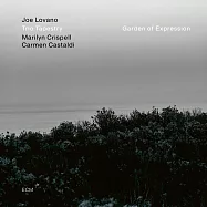 喬.洛瓦諾三重奏：告白花園 (LP)(Joe Lovano Trio: Garden Of Expression)