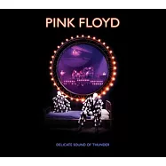 平克佛洛伊德 / 雷霆之聲 (2CD)(Pink Floyd / Delicate Sound of Thunder (2CD))