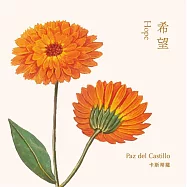 琴聲花語系列-希望