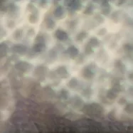 卡洛斯‧西帕 / OURSELVES, AS WE ARE(CARLOS CIPA / OURSELVES, AS WE ARE)