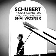 以色列鋼琴家夏.瓦斯納演奏舒伯特晚期鋼琴奏鳴曲 (2CD)(Shai Wosner / Schubert: Piano Sonatas D845, D894, D958 & D960)
