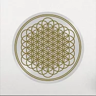 飛越地平線樂團 / 永恆不朽 (10周年紀念版照片彩膠LP)(Bring Me The Horizon / Sempiternal (10th Anniversary LP))