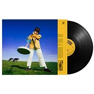 戴克蘭麥肯納 / 海灘軼事 (LP黑膠唱片)(Declan Mckenna / What Happened To The Beach? (Vinyl))
