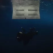 怪奇比莉 / 溫柔重擊 歐洲原裝進口版(Billie Eilish / Hit Me Hard And Soft)