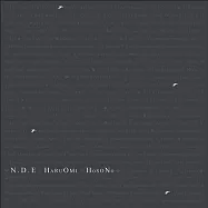 細野晴臣 / N.D.E. (2LP)(Haruomi Hosono / N.D.E. (2LP))