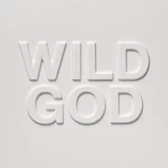 Nick Cave & The Bad Seeds / Wild God (進口版LP黑膠唱片)