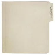 橘郡雷克斯 / 亞歷山大技巧 (2LP黑膠唱片)(Rex Orange County / The Alexander Technique (2LP))