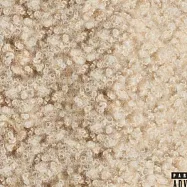 蜜桃貓朵佳 / 緋紅魔女 (豪華第2章) (2LP 骨白彩膠)(Doja Cat / Scarlet 2 CLAUDE (Opaque Bone 2LP))