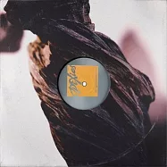 小妖精樂團 / 活屍入侵之夜 (LP黑膠)(Pixies / The Night the Zombies Came (LP))