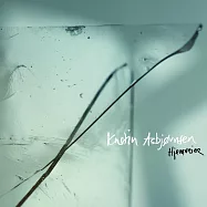 克莉絲汀艾斯畢卓森/回家的路(LP)(Kristin Asbjornsen/Hjemveier(LP))
