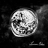 大地之歌樂團Sonus de Gaia /《微光回聲 Luminous Echoes》