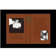 魏如萱 waa wei / 第8張全新專輯 〈珍珠刑〉精裝正式版