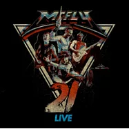 McFly / 21 Live (進口版2CD)