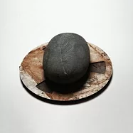 沉默的洞穴符號 / 艾蘭.庫柏(Carves The Runes Then Be Content With Silence / Erland Cooper)