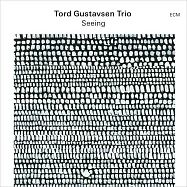 托.葛斯塔森三重奏：所見 (LP)(Tord Gustavsen Trio: Seeing (LP))