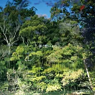 藤卷亮太 / 虛幻脆弱之物