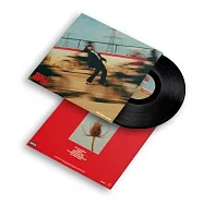 布萊德利辛普森 / 恐慌時期 (LP黑膠唱片)(Bradley Simpson / The Panic Years (Vinyl))