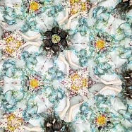 Aimer / 太陽が昇らない世界【通常盤】(Aimer / A World Where the Sun Never Rises [Standard Edition])