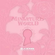 BLACKPINK - THE GAME COUPON CARD [MINIATURE WORLD] 小卡組 (韓國進口版)