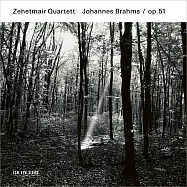 布拉姆斯：弦樂四重奏，作品51|齊赫梅爾弦樂四重奏(Zehetmair Quartett / Johannes Brahms: Streichquartette op. 51)