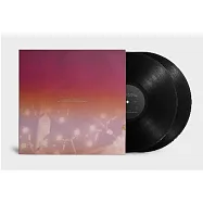 哈妮雅.拉尼: 非虛構 - 四樂章鋼琴協奏曲 / 哈妮雅.拉尼 (2LP黑膠)(Hania Rani: Piano Concerto in Four Movements / Hania Rani (2LP))