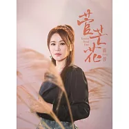 麗蓉/菅芒花(CD)