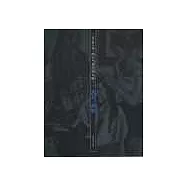 西方當代繪畫大師&middot;大衛&middot;薩利