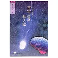 宇宙，量子和人腦