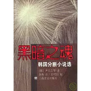 黑暗之魂︰韓國分斷小說選