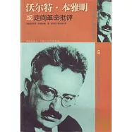 沃爾特·本雅明或走向革命批評