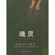 魂靈：死後生命的科學探索