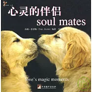 心靈的伴侶：漢英對照