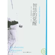 智慧的覺醒