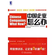 中國企業怎麼辦︰目標、標桿對比和創新戰略等的應用和實踐