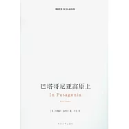 巴塔哥尼亞高原上