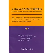 心理動力學心理治療簡明指南︰短程、間斷和長程心理動力學心理治療的原則和技術