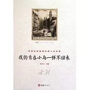 我的青春小鳥一樣不回來