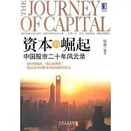 資本的崛起︰中國股市二十年風雲錄