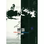 虛擬智慧︰VMware vSphere運維實錄(附贈光盤)