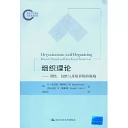 組織理論︰理性、自然與開放系統的視角