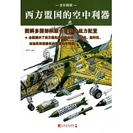 西方盟國的空中利器：圖解多國部隊聯合作戰的戰力配置