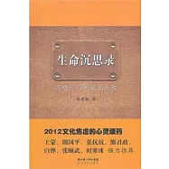 生命沉思錄︰寫給2012的文化焦慮