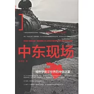 中東現場︰揭開伊斯蘭世界的沖突迷霧