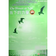 當下的力量(新版)