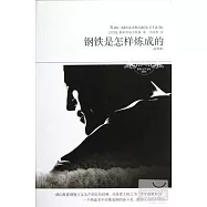 鋼鐵是怎樣煉成的(插圖珍藏版)