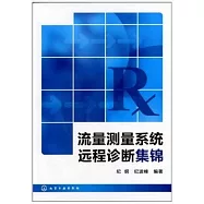 流量測量系統遠程診斷集錦