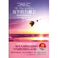 當下的力量 Ⅱ︰找回每時每刻的自己