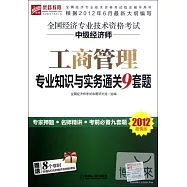 全國經濟專業技術資格考試中級經濟師：人力資源管理專業知識與實務通關9套題 2012超值版全國經濟專業技術資格考試中級經濟師：工商管理專